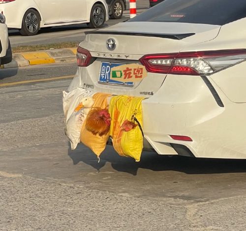 汽车都是多少斤